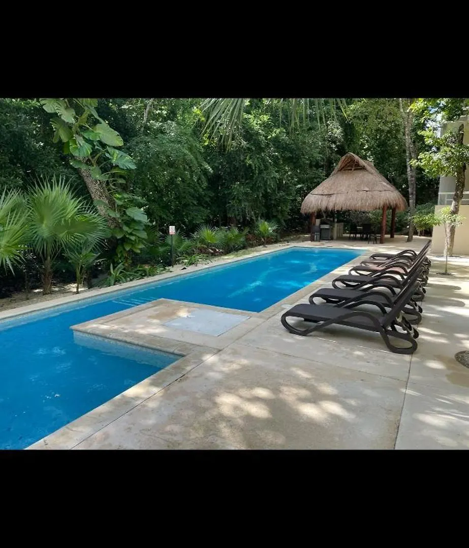 Welcome To Casa Del Arbol! Akumal Apartament