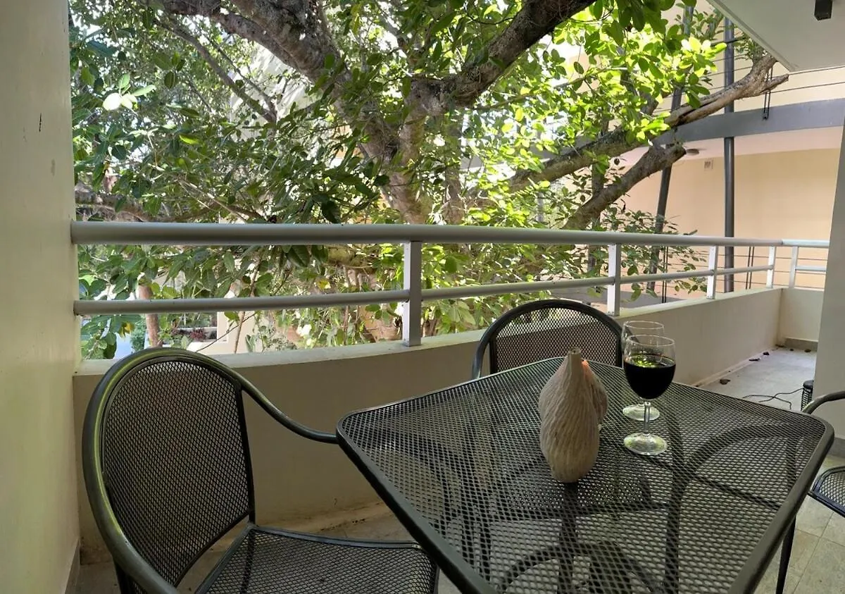 Welcome To Casa Del Arbol! Akumal